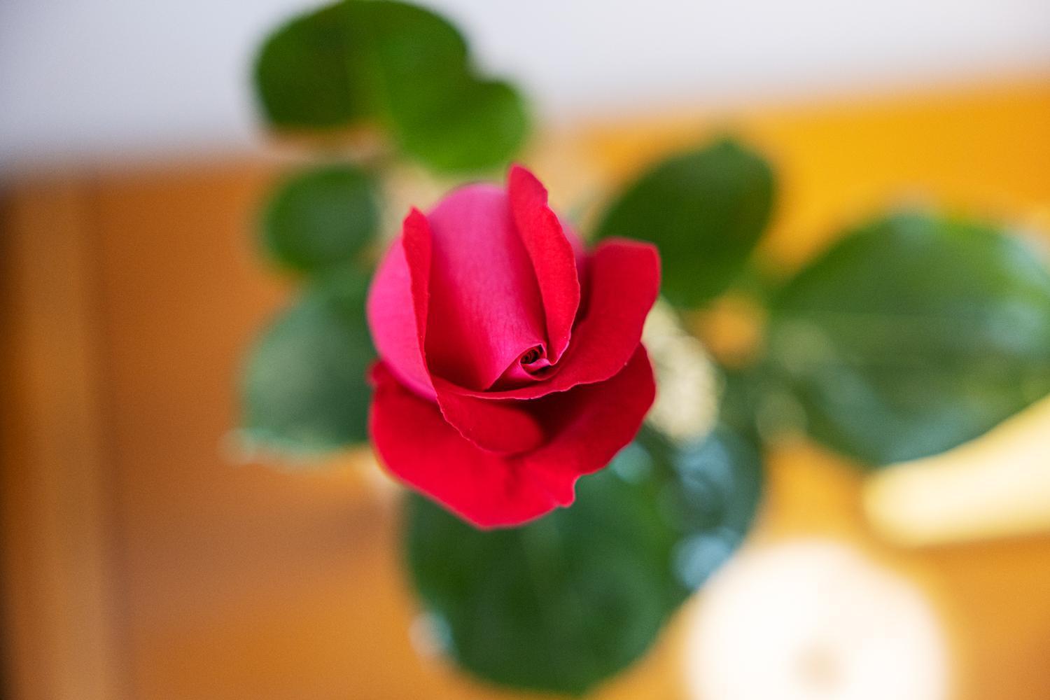 Le Rose - Suites E Breakfast A 5 Min Dal Mare E Misano World Circuit Misano Adriatico Buitenkant foto